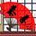 死神来了